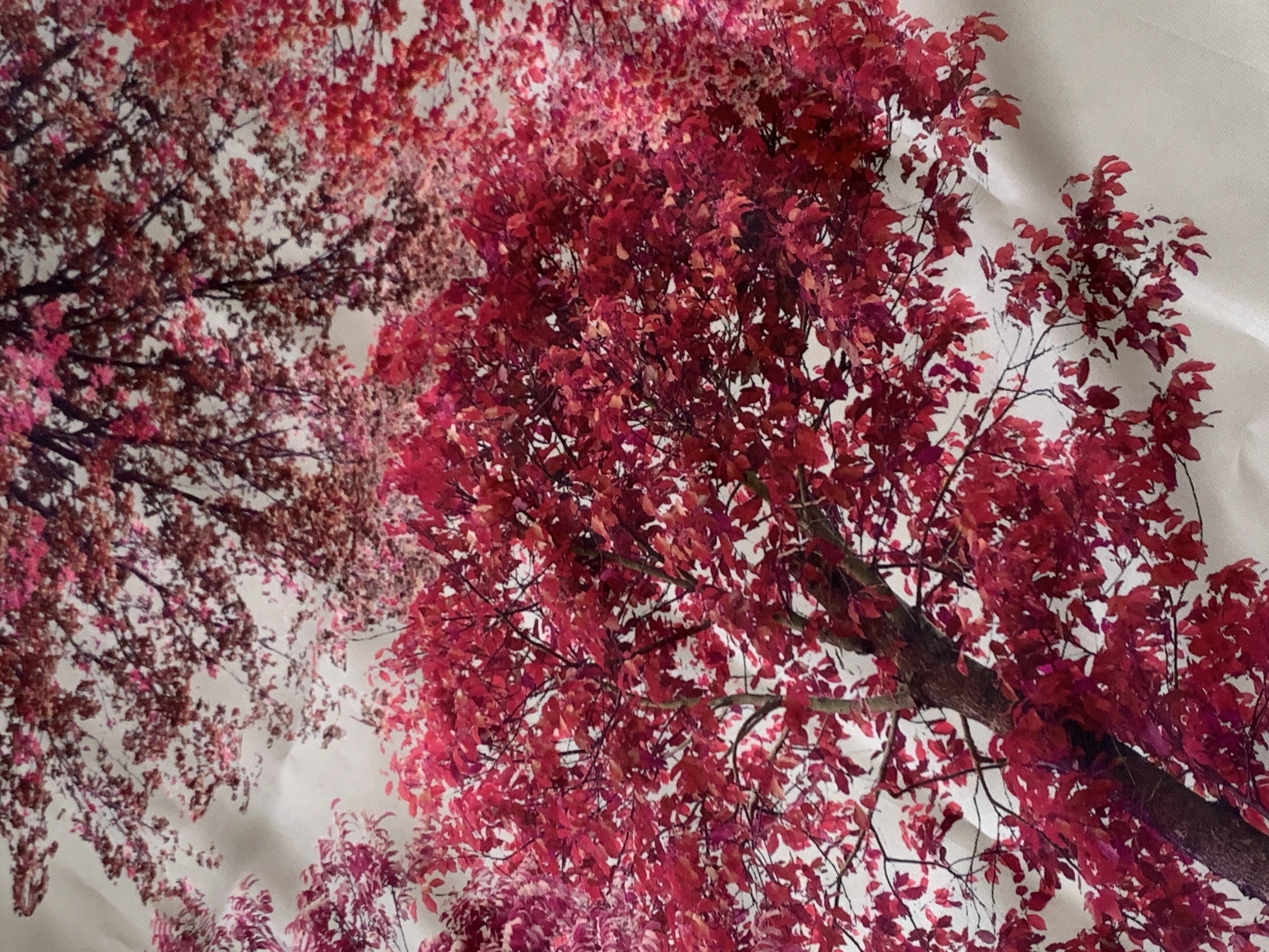 Flower Print Silk Scarf - Pink